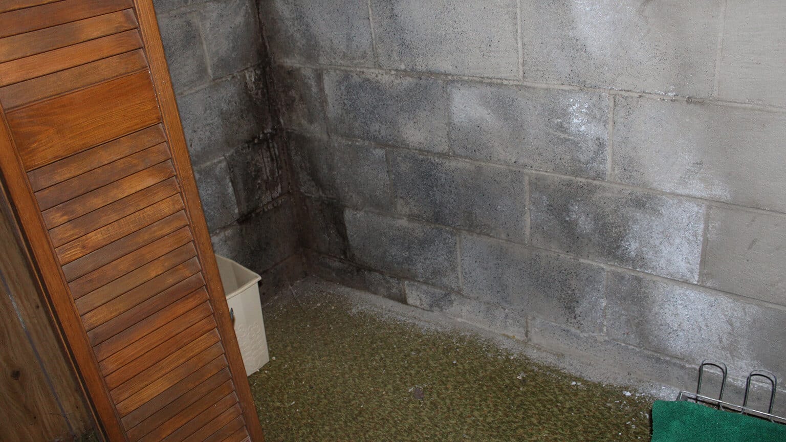 Water Damaged Basement